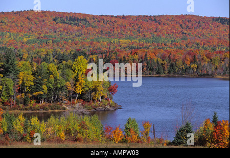 USA, Moosehead Lake, Greenville, Maine, Indian Summer Stockfoto