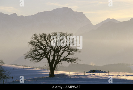 Deutschland, Bayern, Murnauer Land mit Zugspitze höchster Berg in Deutschland Stockfoto