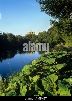 Warkworth Castle spiegelt sich in den Gewässern des Flusses Coquet in Northumberland Stockfoto