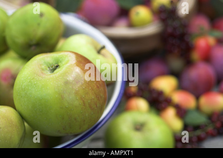 Abstrakt Schuss von Bramley Äpfel in Sieb Norfolk UK August Stockfoto