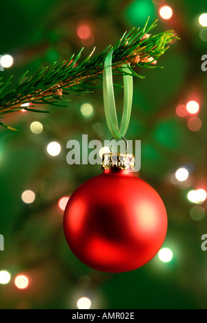 Rote Kugel auf einem Weihnachtsbaum Stockfoto