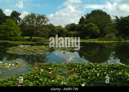 Burnby Hall Gardens und Seerosen-Teich, Pocklington, East Yorkshire, UK Stockfoto