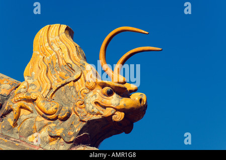 Statue am Dach, Verbotene Stadt, Peking, China Stockfoto