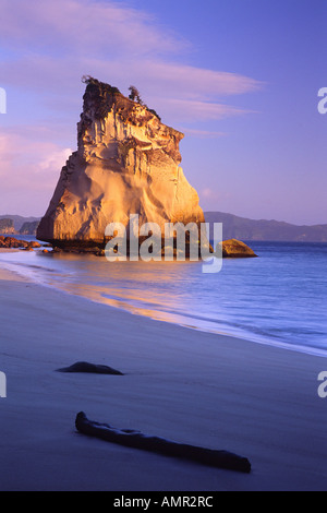 Te Hoho Rock, Cathedral Cove, Coromandel Halbinsel, Neuseeland Stockfoto