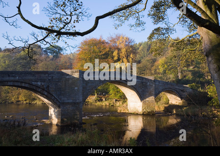 Barden alte Lastesel Brücke über Fluß Wharfe. Wharfedale Yorkshire Dales "National Park" im Herbst Yorkshire England UK Stockfoto