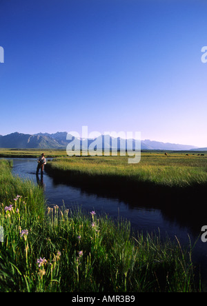 Mann-Fliegenfischen in Kalifornien Modellbild veröffentlicht Stockfoto
