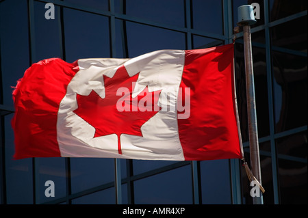 Die Maple Leaf, rot und weiß gefärbte kanadische Flagge eingeweiht während einer Ceromony am Parliament Hill in Ottawa Stockfoto