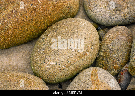 Detail des riesigen Granit Kiesel am Cornish Strand Stockfoto