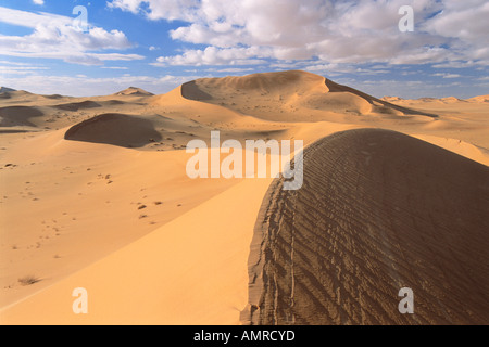 Sanddünen, Grand Erg Oriental, Wüste Sahara, Algerien Stockfoto