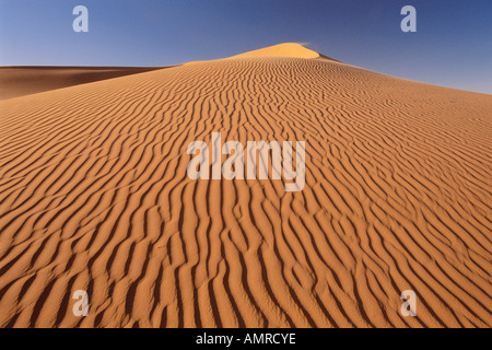 Sanddünen, Grand Erg Oriental, Wüste Sahara, Algerien Stockfoto