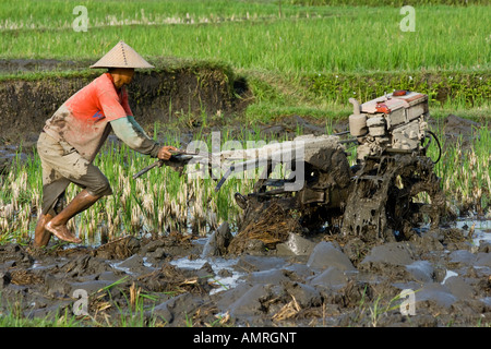 Landwirt mit einem kleinen Traktor, Reis zu pflügen Felder Bali Indonesien Stockfoto