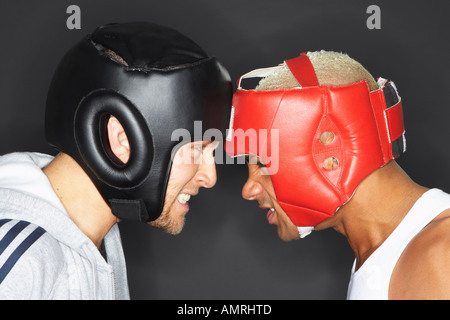 Zwei Boxer Kopf an Kopf Stockfoto