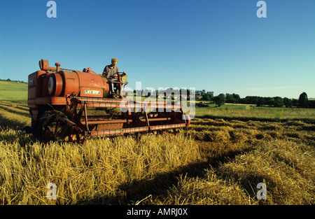 Alten Massey Ferguson 410 Mähdrescher, Salisbury Plain, Wiltshire, UK. Stockfoto