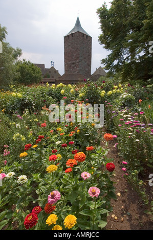 Rothenfels bin Main Kreis Main Spessart Unterfranken Bayern Deutschland Burg Rothenfels auf dem Main Main Bezirk Stockfoto