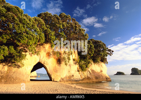 Cathedral Cove, Coromandel Halbinsel, Neuseeland, Nordinsel Stockfoto