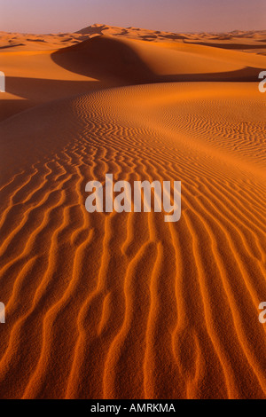 Sanddünen, Grand Erg Oriental, Wüste Sahara, Algerien Stockfoto