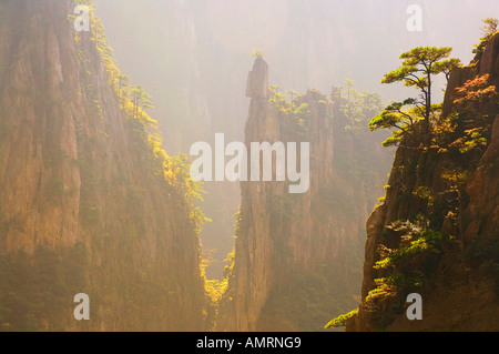 Huang Shan, Provinz Anhui, China Stockfoto