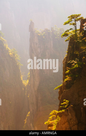 Huang Shan, Provinz Anhui, China Stockfoto