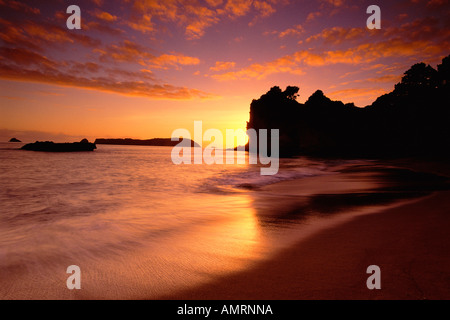 Strand bei Sonnenaufgang, Coromandel Halbinsel, Neuseeland, Nordinsel Stockfoto