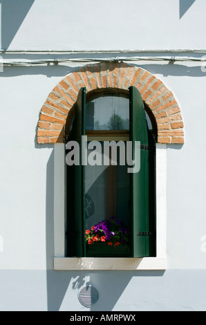 Blumenkasten in einem traditionellen gewölbte Fenster, Burano, in der Nähe von Venedig, Italien Stockfoto