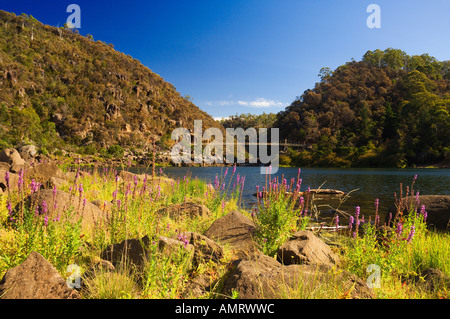 Cataract Gorge, Launceston, Tasmania, Australien Stockfoto