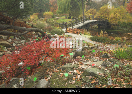 Botanischer Garten im Herbst Wroclaw/Breslau Polen Stockfoto