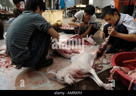 Personal im Restaurant Schlachtung Hunde auf der Straße in Wuhan, Hubei China 20. Oktober 2007 Stockfoto