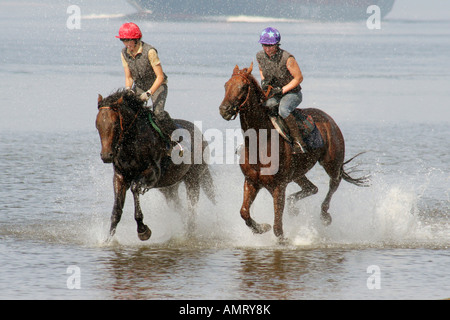 Reiter im Galopp durch das Wasser am Ufer des Flusses Elbe, Hamburg, Deutschland Stockfoto