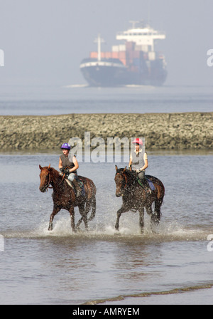 Reiter im Galopp durch das Wasser am Ufer des Flusses Elbe, Hamburg, Deutschland Stockfoto