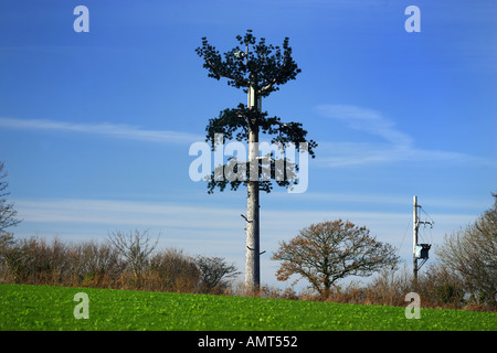 Handy-Mast getarnt als ein Baum in der Nähe von Torbay Devon UK Stockfoto