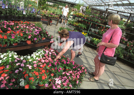 Damen Auswahl bunter Topfpflanzen Bettwäsche in einem Gartencenter UK Stockfoto