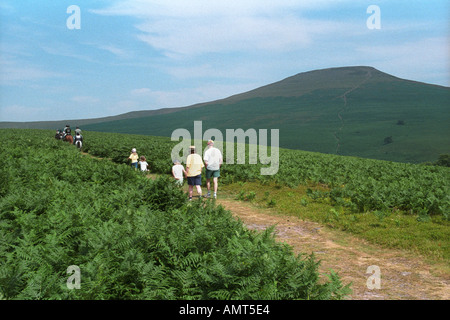 Familie zu Fuß in Landschaft auf Fußweg zum Zuckerhut in der Nähe von Abergavenny South Wales UK Pony Trekker in Ferne Stockfoto