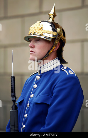 Royal Guard, Stockholmer Schloss Stadsholmen, Stockholm, Schweden Stockfoto