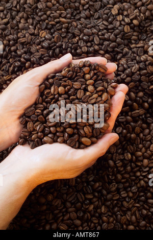 Hände halten Kaffeebohnen, close-up Stockfoto