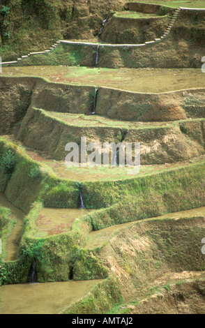 Philippinen Tiered Banaue Reis Terrassen Stockfoto