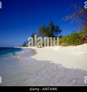 Verlassene traumartigen typische sonnengebleichten Wüste Insel Stil Strand Vogel Insel der Seychellen Stockfoto
