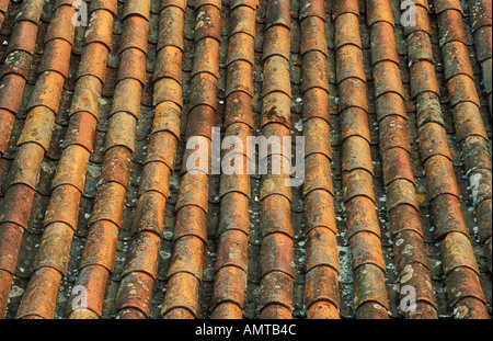 Ziegeldach im traditionellen typisch portugiesischen Stil Algarve Portugal EU Europa Stockfoto