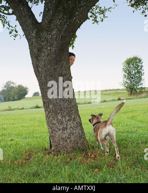 halbe Rasse Hund und Frau - spielen Stockfoto