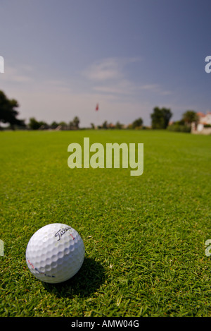 Golfball auf ein Putting Green auf dem Oliva Nova Golf Course, ein 18-Loch-Golfplatz in der Stadt Oliva Nova Stockfoto