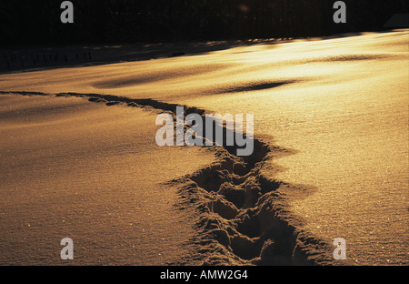 Verfolgen Sie im tiefen Schnee bei Sonnenuntergang Stockfoto