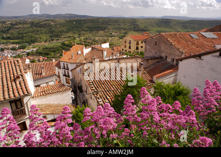 Blumen entlang einer Wand mit Blick auf die Gegend von El Maestrat aus dem Dorf Morella, Castellon, Valencia, Spanien, Europa. Stockfoto