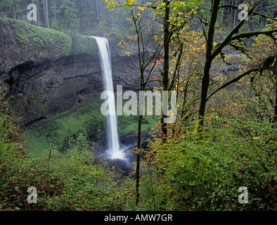 Blick von Süden fällt bei Silver Falls State Park am Westhang der Cascade Mountains im Herbst Stockfoto