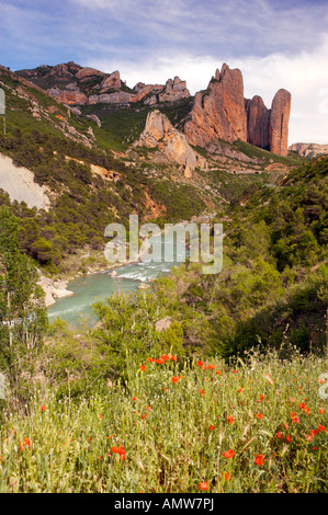 Roten Felsformationen genannt Mallos de Riglos in der Nähe von Aguero über den Fluss Gallego, Huesca, Aragon, Spanien, Europa. Stockfoto