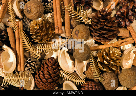 Weihnachtsschmuck aus verschiedenen Nüssen, Gewürzen und Tannenzapfen Stockfoto