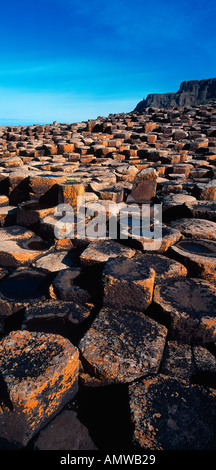 Das UNESCO-Weltkulturerbe Giants Causeway, North Coast, County Antrim, Nordirland Stockfoto