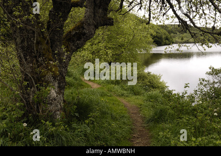 Wanderweg in der Nähe von Lac de Guery, La Bourboule Stockfoto