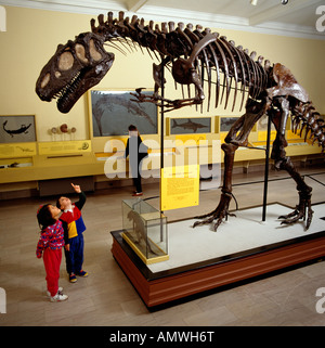 Sauriersaal an das Carnegie Museum Of Natural History, Pittsburgh, Pennsylvania, USA Stockfoto