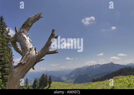 Berglandschaft, Nesselwang, Allgäu, Bayern, Deutschland Stockfoto