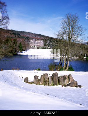 Castlewellan Waldpark Co Down Northern Irland Stockfoto