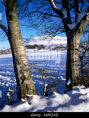 Slemish Co. Antrim Nordirland Stockfoto